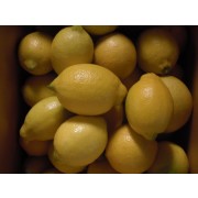 레몬 9kg - 무농약인증 레몬