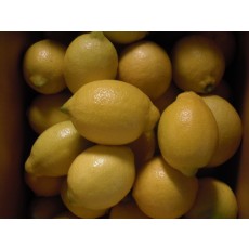 레몬 9kg - 무농약인증 레몬