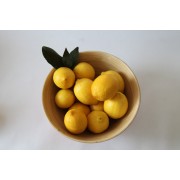 레몬 3kg - 무농약인증 레몬
